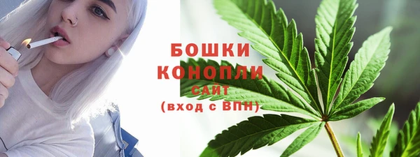 дживик Верхний Тагил