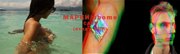 дживик Верхний Тагил