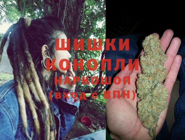 дживик Верхний Тагил