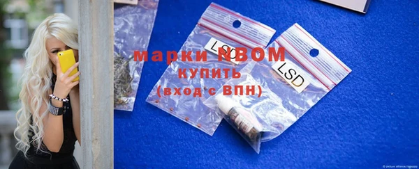 дживик Верхний Тагил