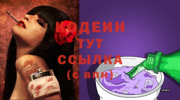 дживик Верхний Тагил